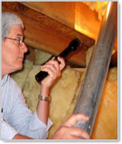 /Images/HCL-articles-big/attic-inspection-guide.png