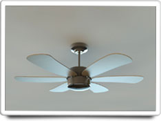 Ceiling Fan Clean And Examine