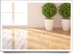 hardwood floors care