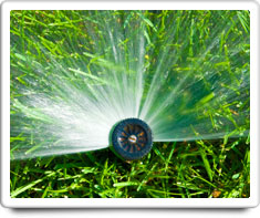 image of automatic sprinklers